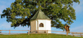 Kleine Kapelle vor einem Baum auf grüner Wiese mit blauem Himmel