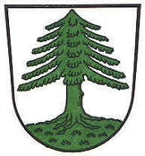 Logo Oberviechtach