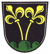 Wappen der Großen Kreisstadt Traunstein